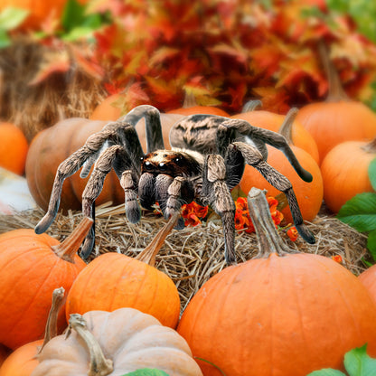 New Bloody Hand Halloween Lawn Stakes