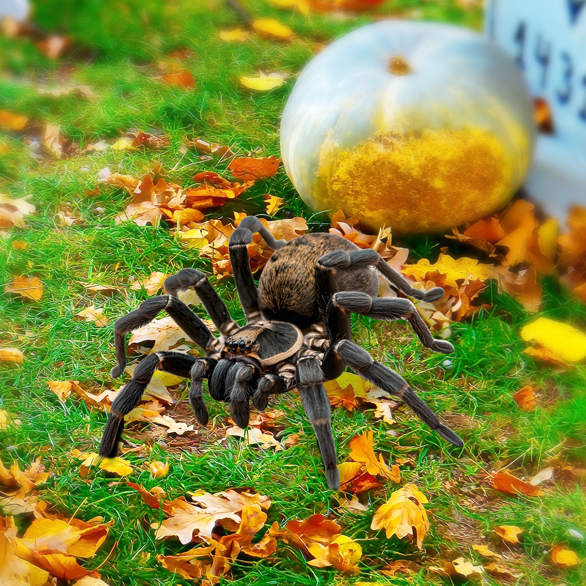 New Bloody Hand Halloween Lawn Stakes