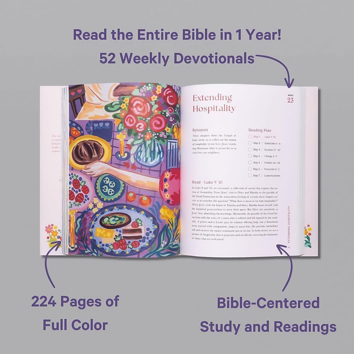 A Beautiful Year In The Bible - 52 Week Bible Study